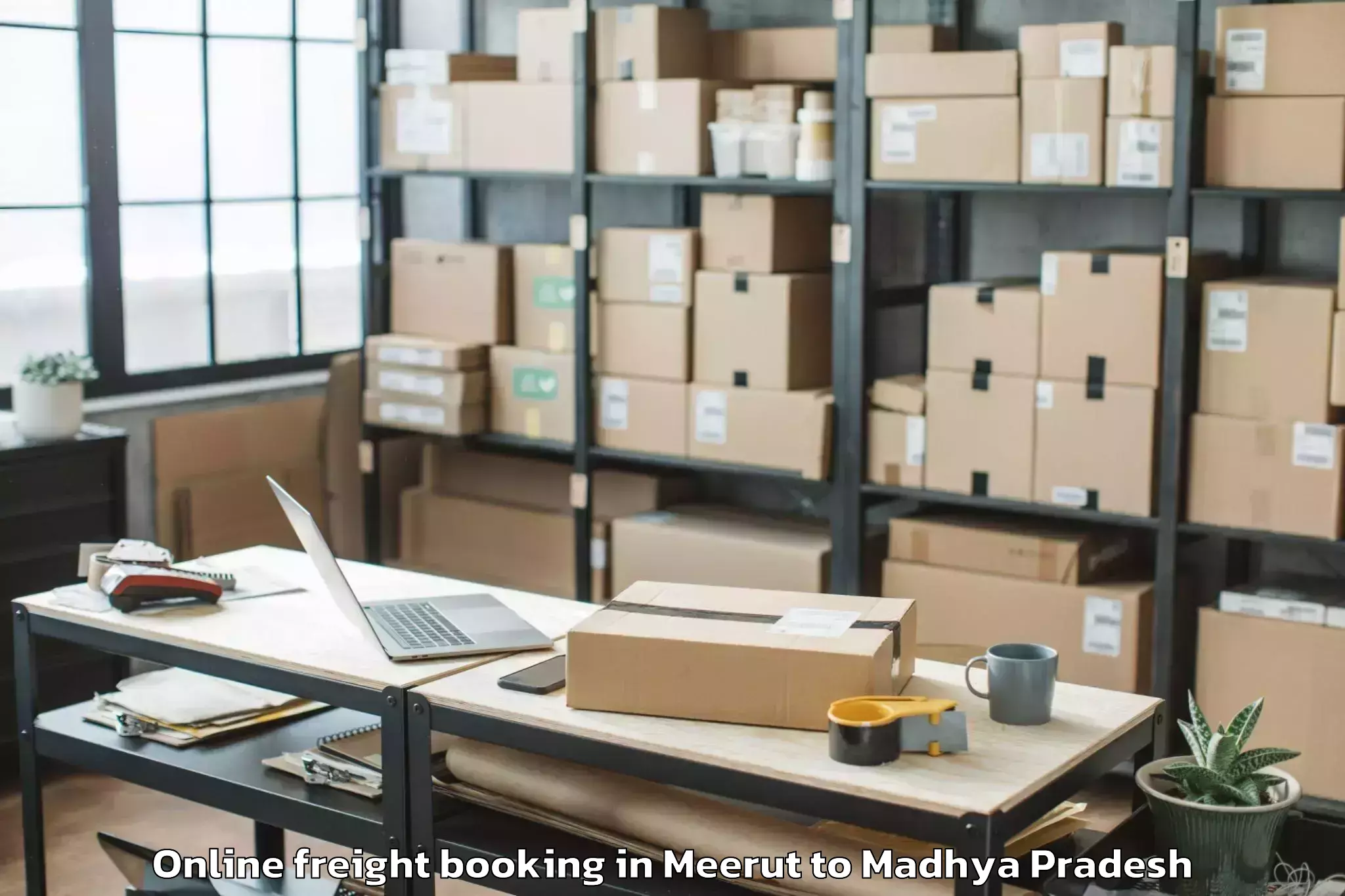 Reliable Meerut to Satwas Online Freight Booking